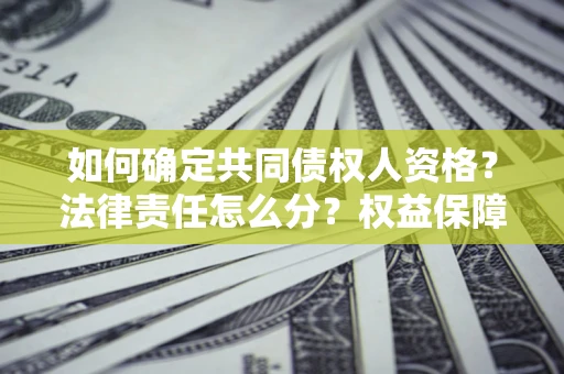 北京如何确定共同债权人资格？法律责任怎么分？权益保障技巧揭秘！