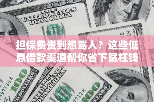 北京担保费贵到想骂人？这些低息借款渠道帮你省下冤枉钱