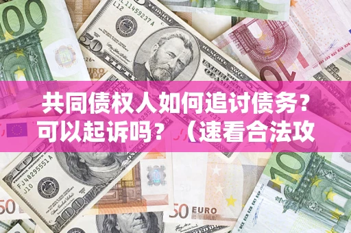 北京共同债权人如何追讨债务？可以起诉吗？（速看合法攻略）