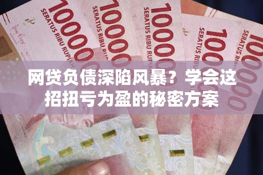 北京网贷负债深陷风暴？学会这招扭亏为盈的秘密方案